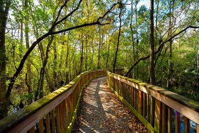 highlands hammock state park trail