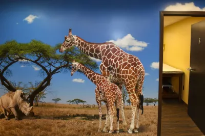 Wall mural of two Giraffes and a Rhino in the African plains.