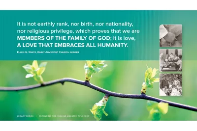 Tree branch with small blossoms