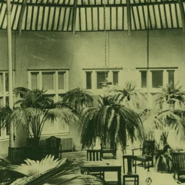 Sunroom with plants hanging from the ceiling