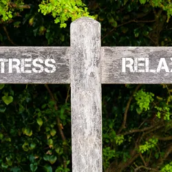 wooden sign pointing to two directions for stress and relax