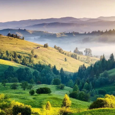 Landscape with Trees and Houses
