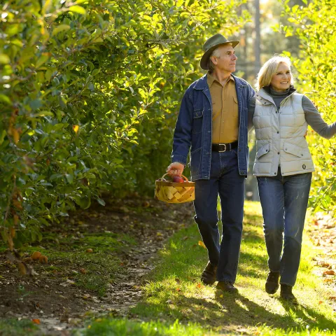 A walk in the vineyard.