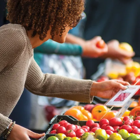 A Challenge to Feel Whole Image