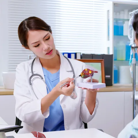 Doctor holding medical model talking to patient
