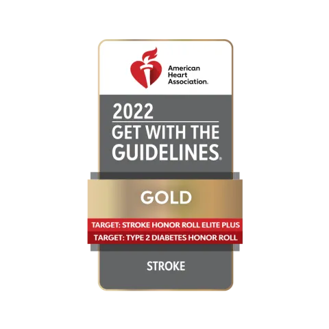 get with the guidelines gold stroke 2022 award seal