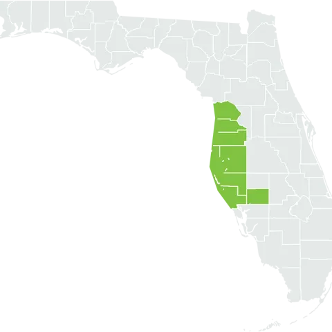  A Map of the Greater Tampa Area