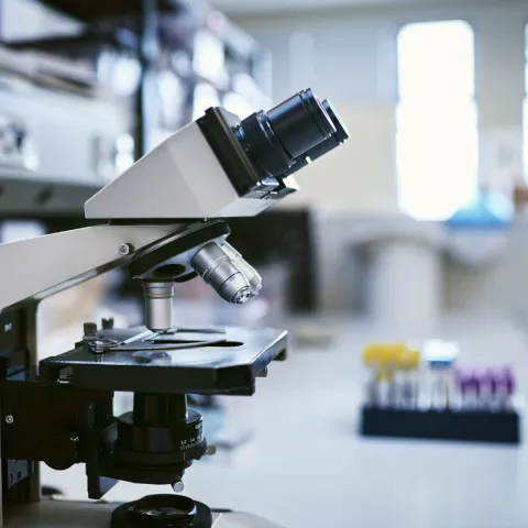 A microscope in a lab.