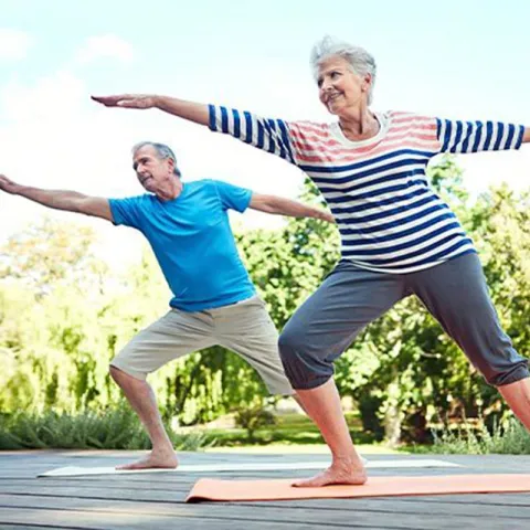 lp-circle-insert-large-east-ortho-couple-exercising
