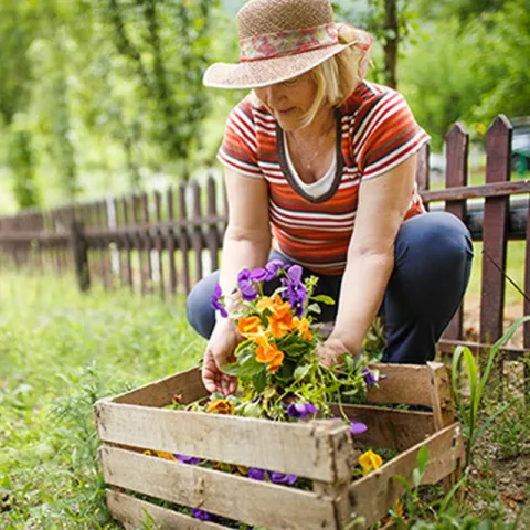 woman-gardening