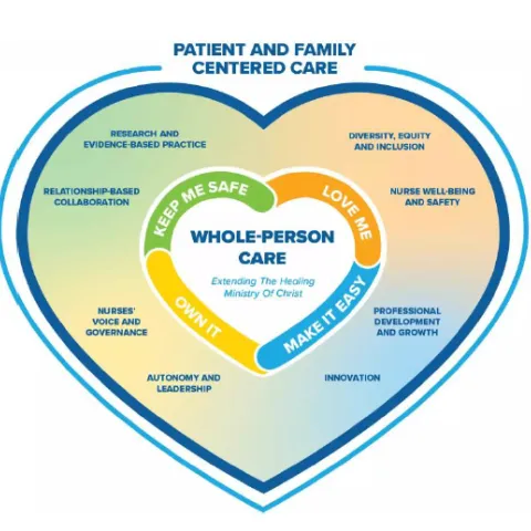 Nursing Professional Model