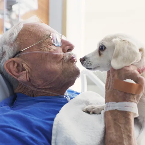 An older man in a hospital bed holding a service dog.