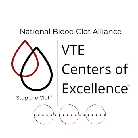 VTE COE logo