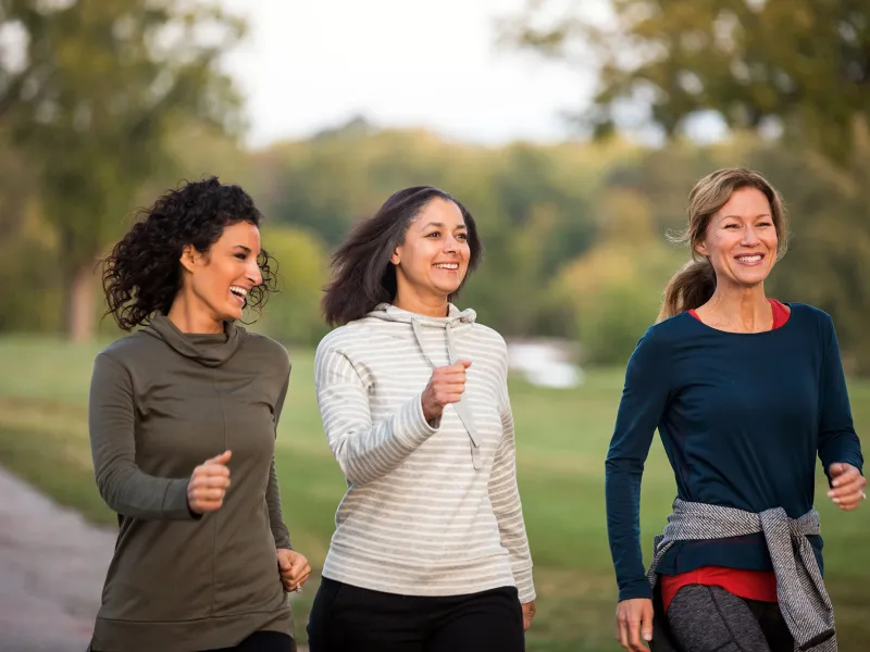 Three friends going for a walk in the park.