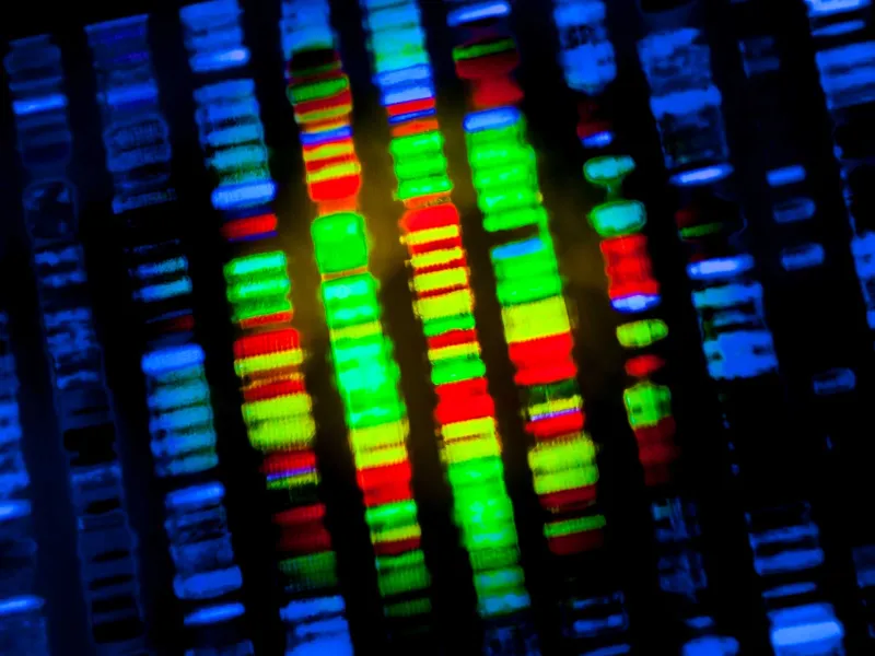 An image of colorful, genomic data