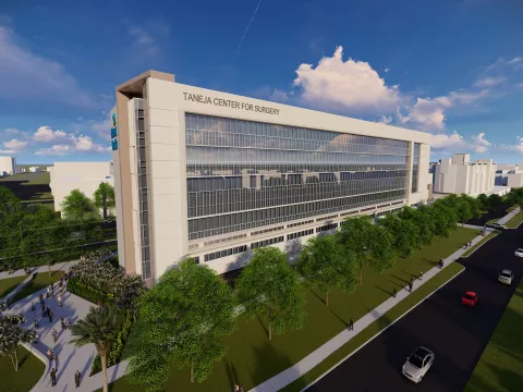 The side view of Taneja Center