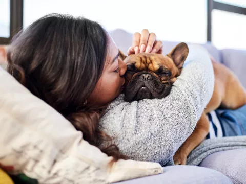Woman laying on a couch hugging and kissing her fawn colored french bulldog