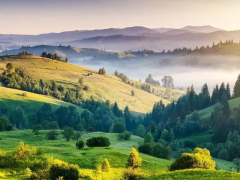 Landscape with Trees and Houses