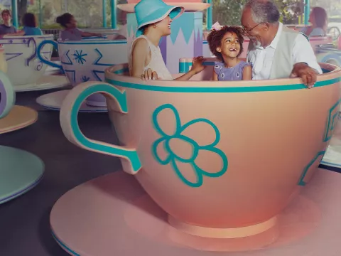 Family having fun on the tea cup ride at Disney.
