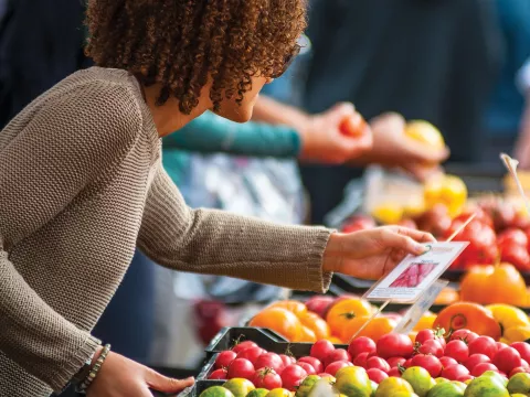 A Challenge to Feel Whole Image