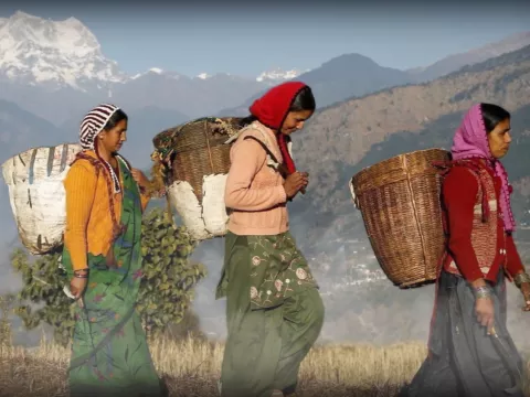 International women walking with baskets on their backs.