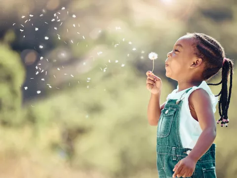 allergy-relief-whi-blog