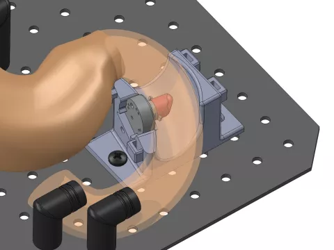 Graphic of Ampullectomy Model assembly