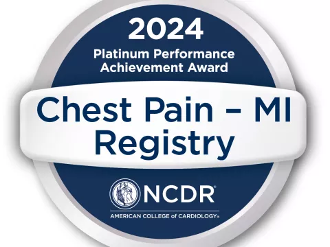 2024 Platinum Performance Achievement Award logo