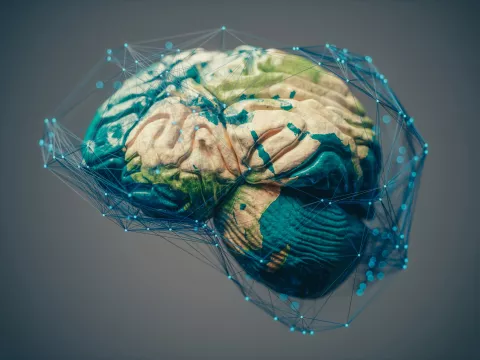 Graphic of a brain with the earth overlaid on the surface.