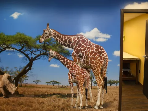 Wall mural of two Giraffes and a Rhino in the African plains.