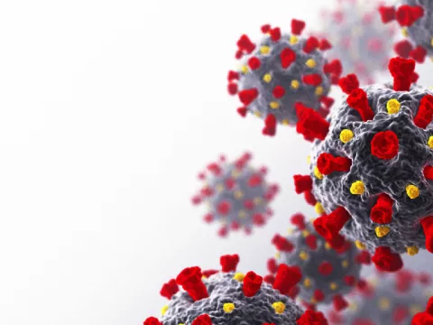 A picture of microscopic particles