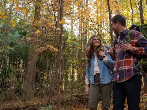 A Couple Goes for a Hike in the Woods.