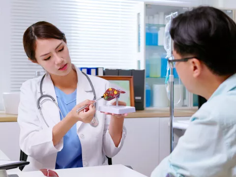 Doctor holding medical model talking to patient