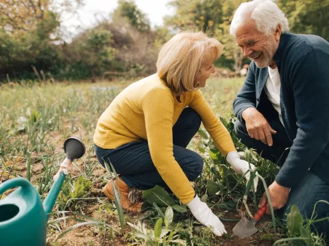 Couple Gardening