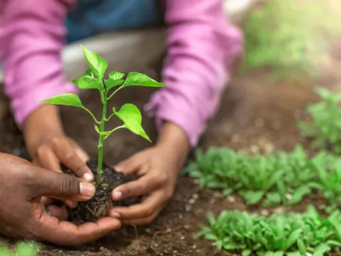 People are hungry for health and nutrition information.