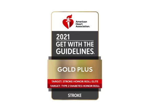 Get With The Guidelines-Stroke Gold Plus award logo.