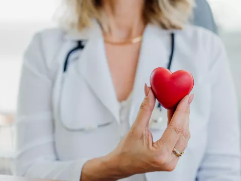 Doctor holding a red heart