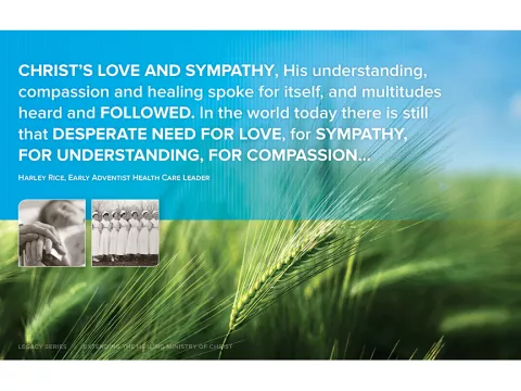 A Wheat Field In Front of Blue Skies