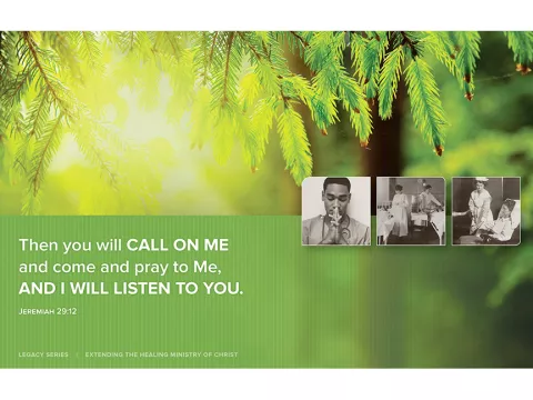 The Sun Cutting Through a Pine Tree