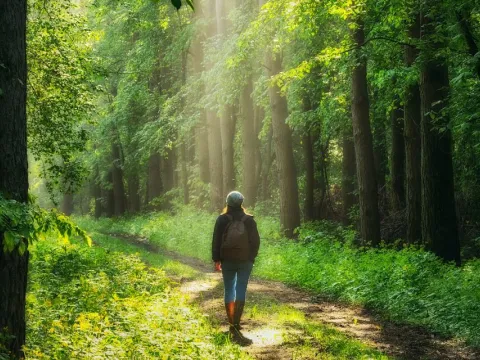 A woman walking through a trail at a forest.