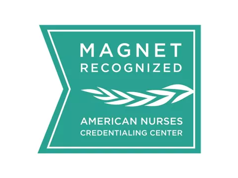 Nursing Magnet Logo