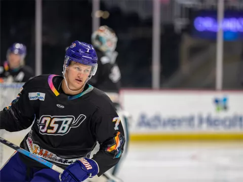Orlando Solar Bears teammate during a game. 