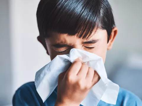 A young boy blowing his nose into a tissue.