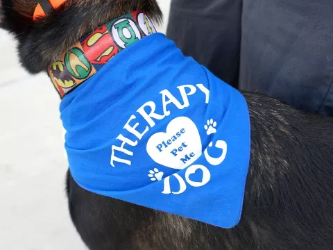 Will and Recon: An emergency response team for the soul