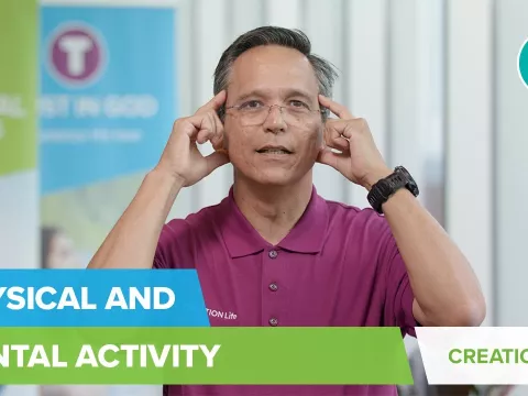 Physical and Mental Activity