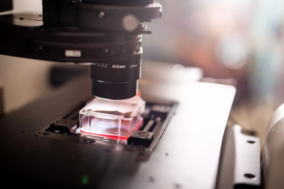 Destined for the International Space Station, the tissue samples may provide clues to helping people stay stronger longer. 