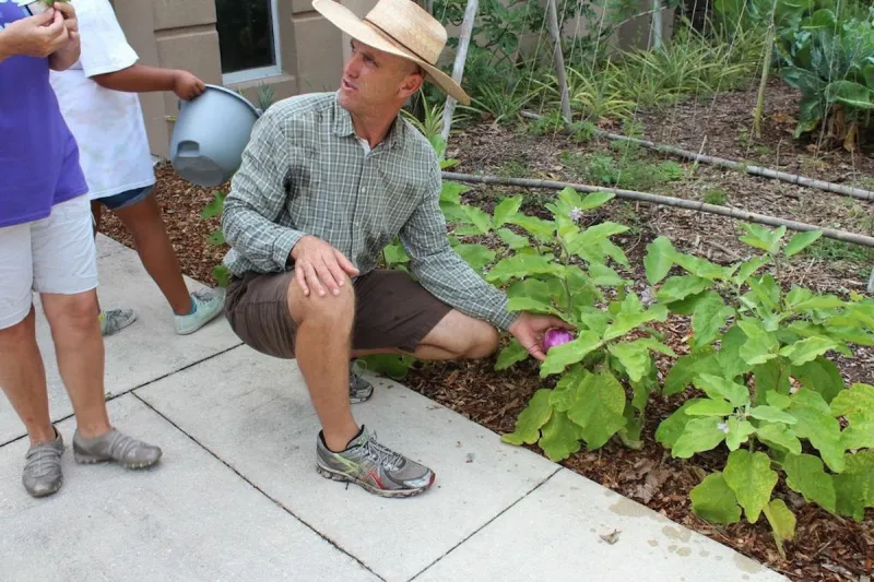 A man inspecting plants in a garden.