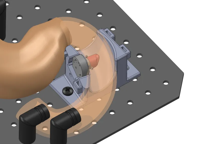 Graphic of Ampullectomy Model assembly