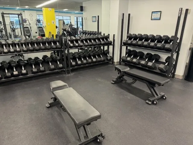 HealthFit Gym Free Weights 