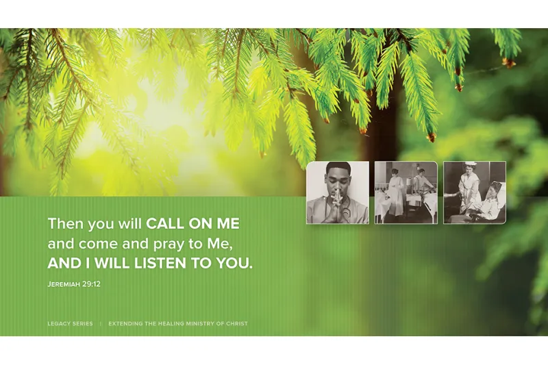 The Sun Cutting Through a Pine Tree